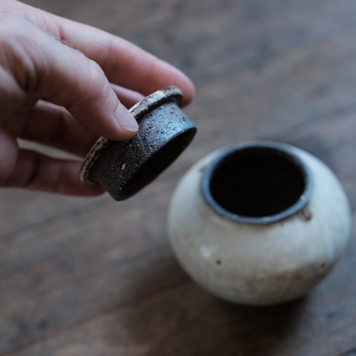 Tea Storage Jar, Da-Ho, Medium