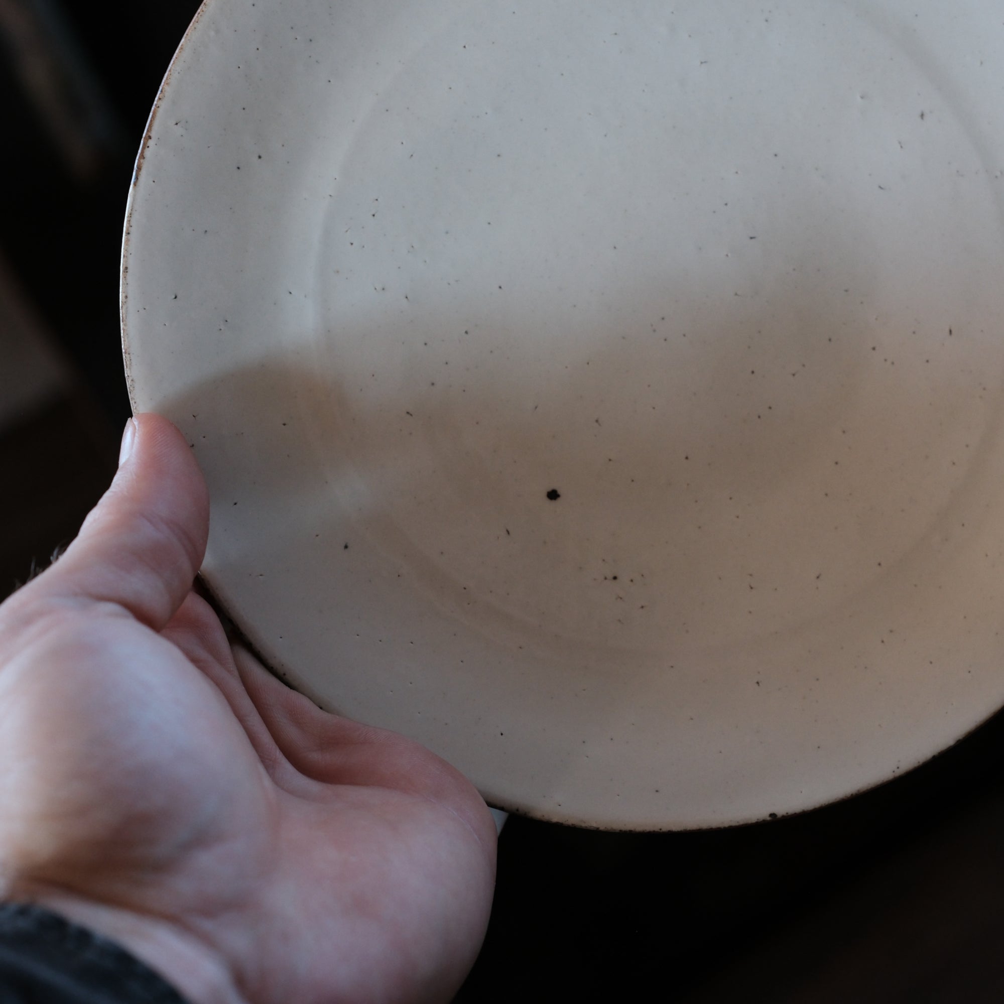 Plates, White and Ash, Set of Two