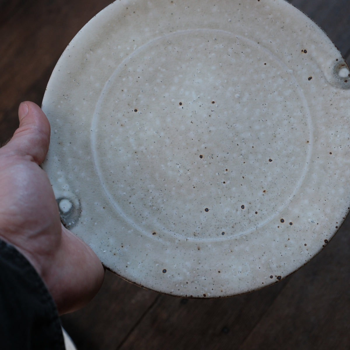 Plates, White and Ash, Set of Two