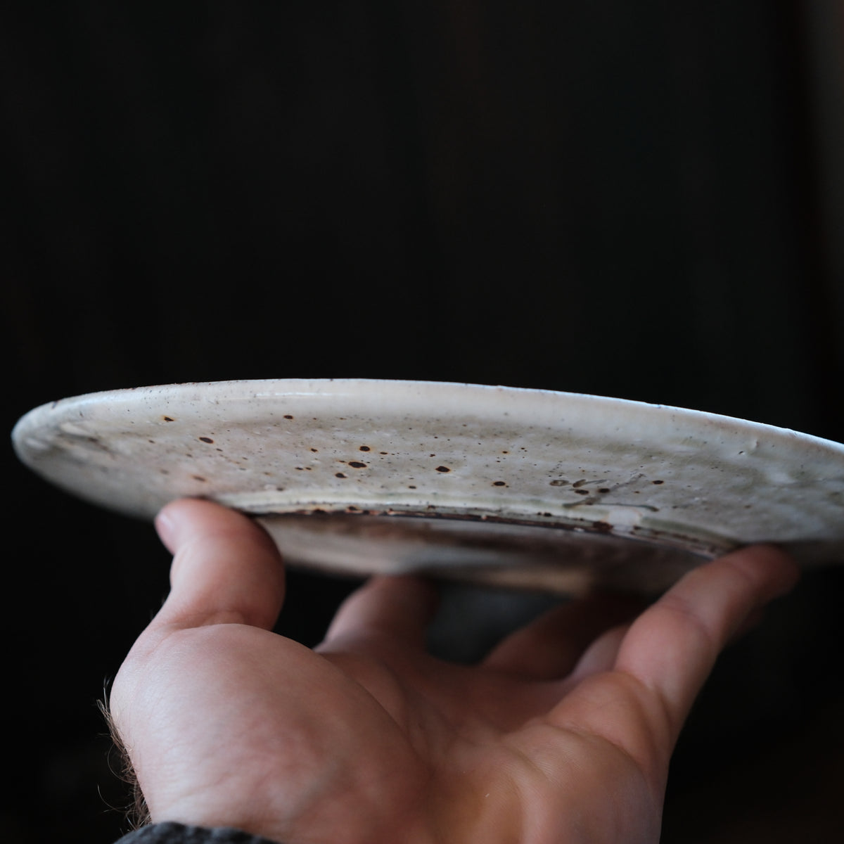 Plates, White and Ash, Set of Two